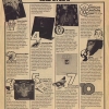 PolyGram Records ad from ROLLING STONE (September 17, 1981).